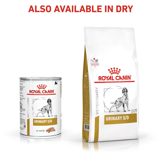 ROYAL CANIN® VETERINARY DIET Urinary Adult Wet Dog Food Cans 12 x 410g