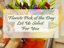 Royal Oak Florist Choice Roses