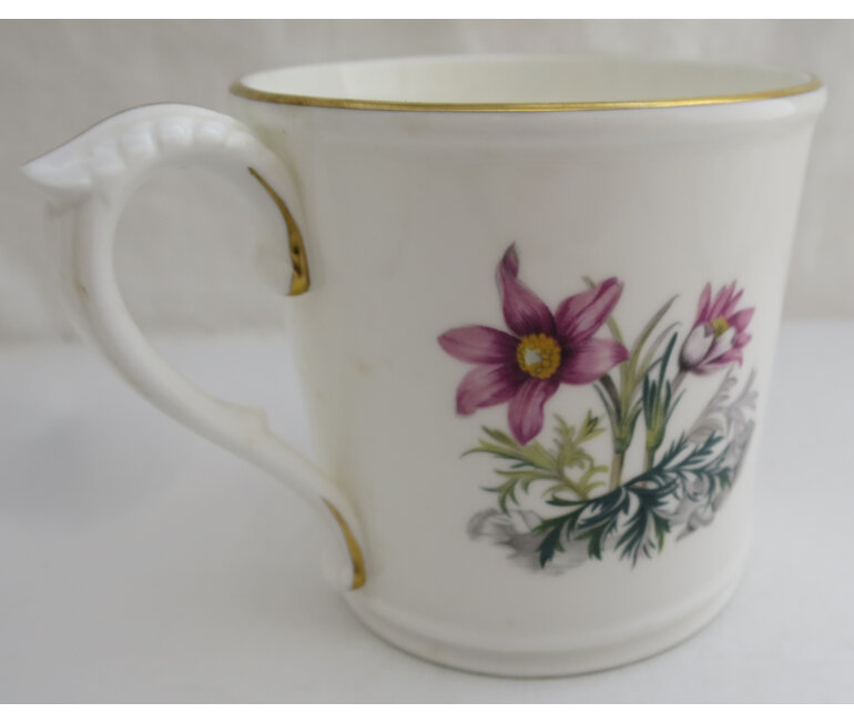 Royal Worcester mug