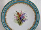 Royal Worcester plate