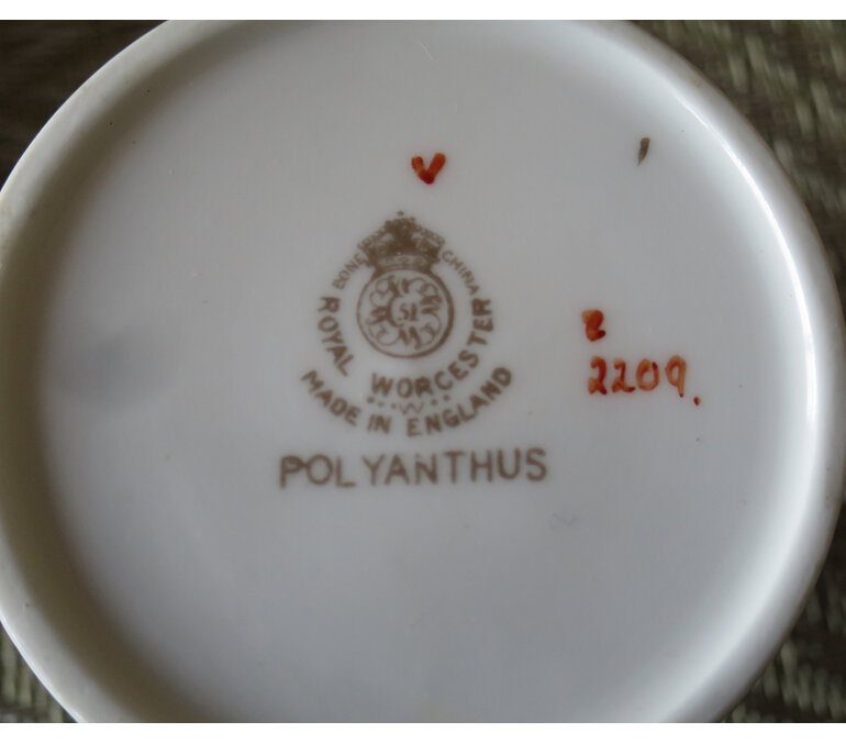Royal Worcester Polyanthus