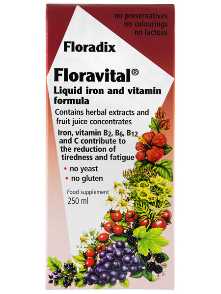 RS Floradix Floravital Tonic 250ml