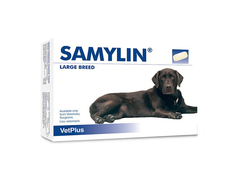 Samylin Tablet Large Breed 30