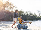 Sandpiper Beach Wheelchair