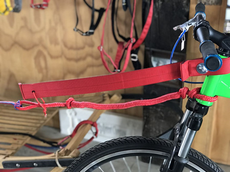 Scooter/Bike flexible Arm
