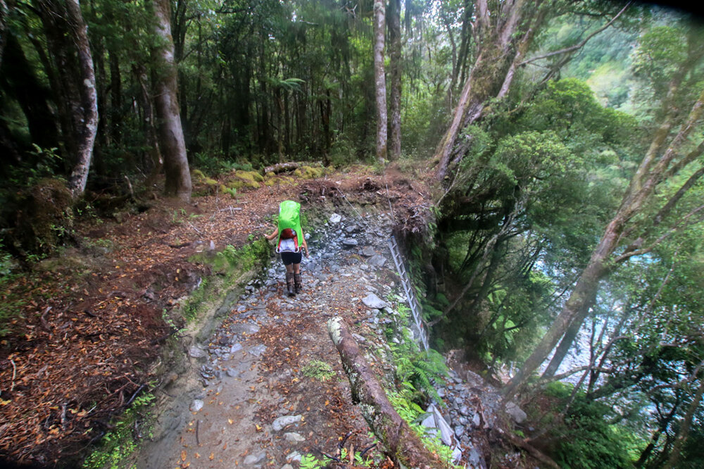 scottys 3 wire bridge with kids dillon hut nz