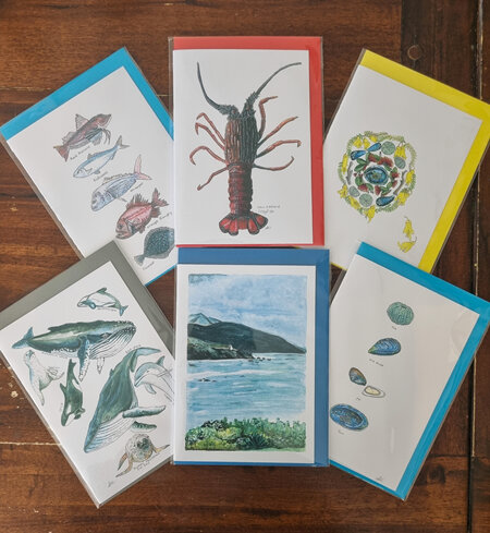 Sea Life  Themed Greeting cards