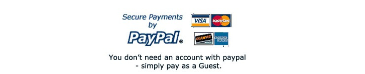 secure payments via paypal