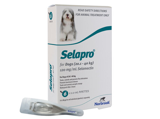 Selapro Spot On for Large Dogs 20.1-40kg