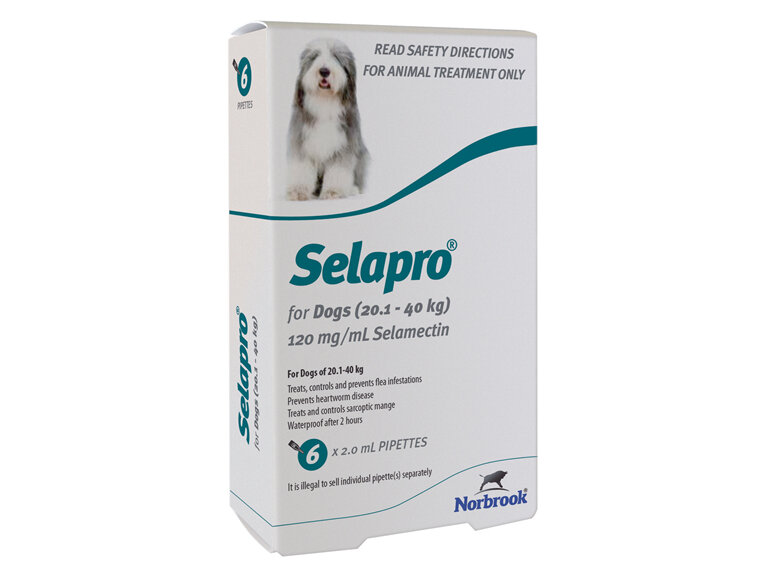 Selapro Spot On for Large Dogs 20.1-40kg