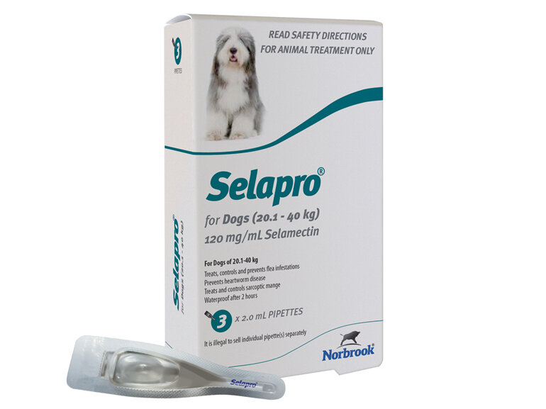 Selapro Spot On for Large Dogs 20.1-40kg