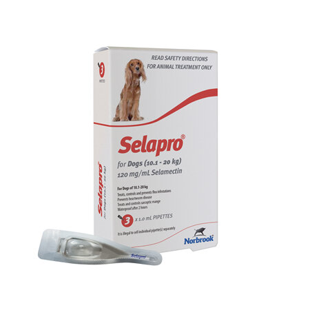 Selapro Spot On for Medium Dogs 10.1-20kg