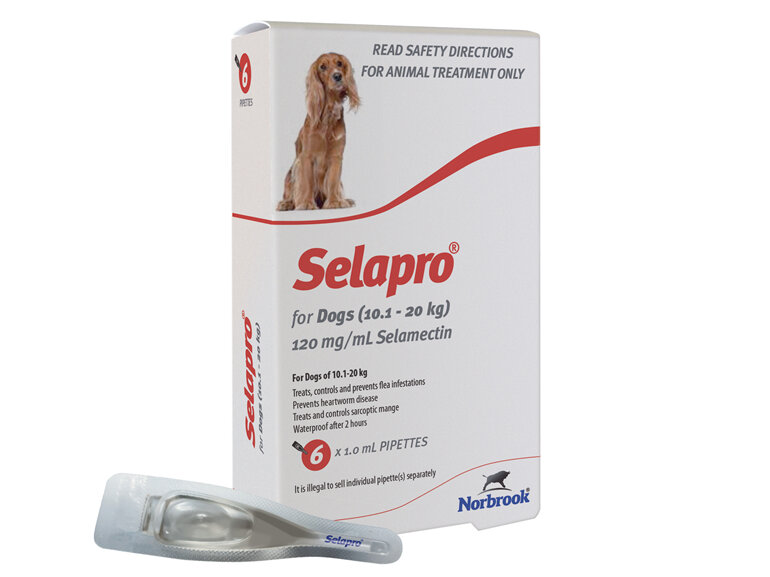 Selapro Spot On for Medium Dogs 10.1-20kg