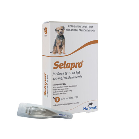 Selapro Spot On for Small Dogs 5.1-10kg