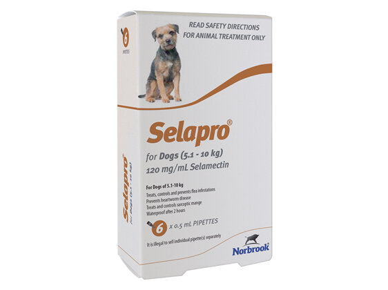 Selapro Spot On for Small Dogs 5.1-10kg