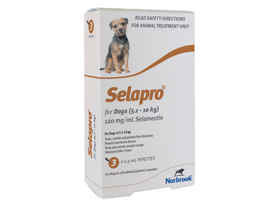 Selapro Spot On for Small Dogs 5.1-10kg