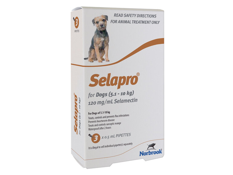 Selapro Spot On for Small Dogs 5.1-10kg