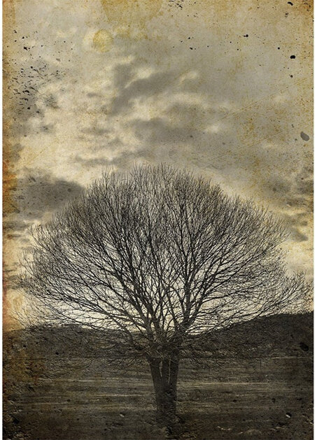 Sepia Tree Decoupage Paper by Mint