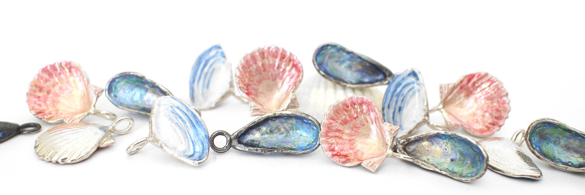shells collection fanshells mussels pipi paua abalone earrings necklaces nz