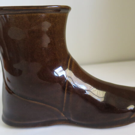 Shiny brown boot