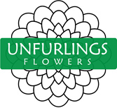 Unfurlings Flowers