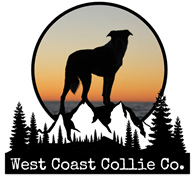 West Coast Collie Co.
