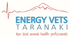 Energy Vets Taranaki Ltd