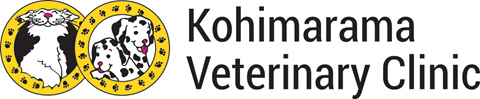 Kohimarama Veterinary Clinic