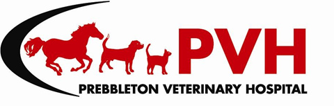 Prebbleton Veterinary Hospital