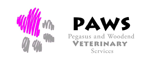 PAWS Vets