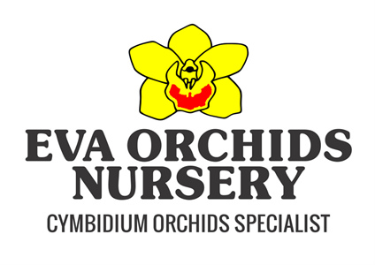 Eva Orchids Nursery