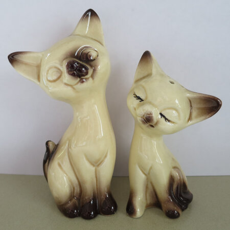 Siamese cat couple