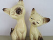 Siamese cats salt and pepper