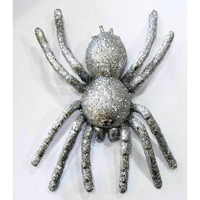 Silver Spider Tarantula 20cm