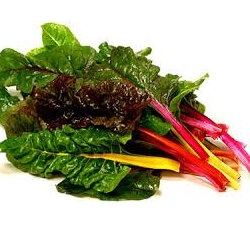 Silverbeet/Chard Sprayfree or Organic Approx 100g