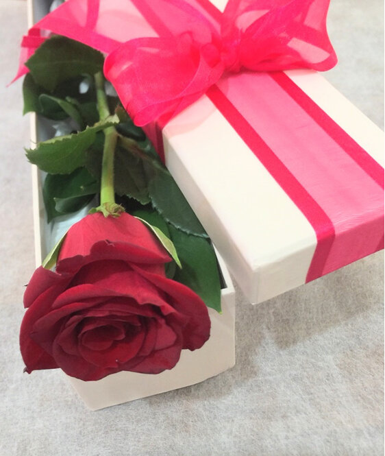Single red rose in a box.