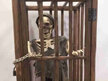 Skeleton Cage