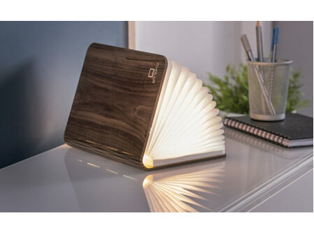 Smart Book Lights Wood