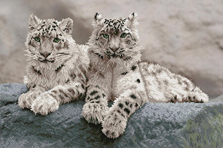 Snow Leopards Hemis National Park, Kashmir, India - Diamond Dotz - Intermediate