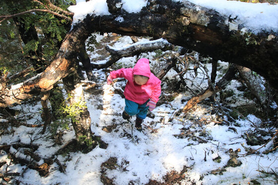 snow tramping in winter nz with a toddler