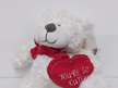#softtoy#cuddly#lovetohold#lovebear#youresocute#loveheart#white