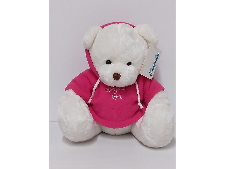 #softtoy#cuddly#lovetohold#teddybear#teddy#bear#blue#hoodie#pink