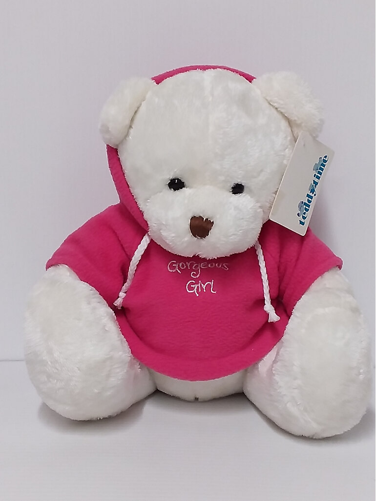 #softtoy#cuddly#lovetohold#teddybear#teddy#bear#blue#hoodie#pink