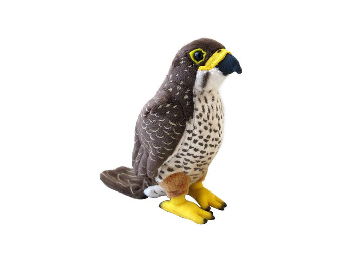 Sounds of New Zealand NZ Falcon Plush 15cm karearea aotearoa