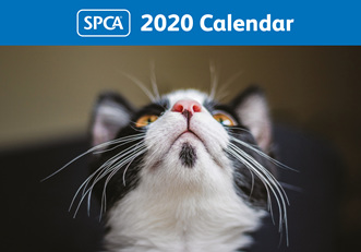 SPCA Calendars - SPCA New Zealand Online Shop