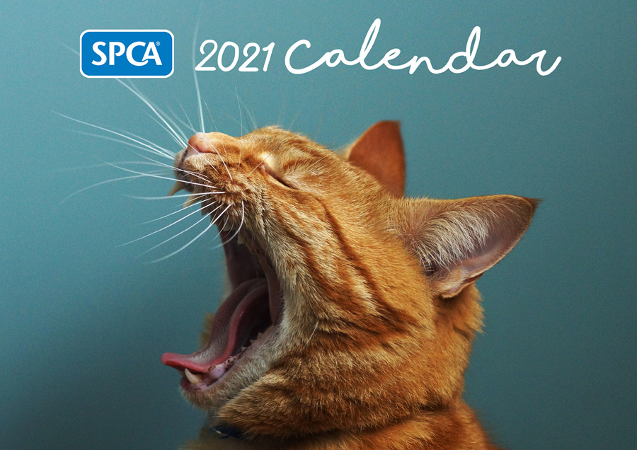 SPCA Calendars SPCA New Zealand Online Shop