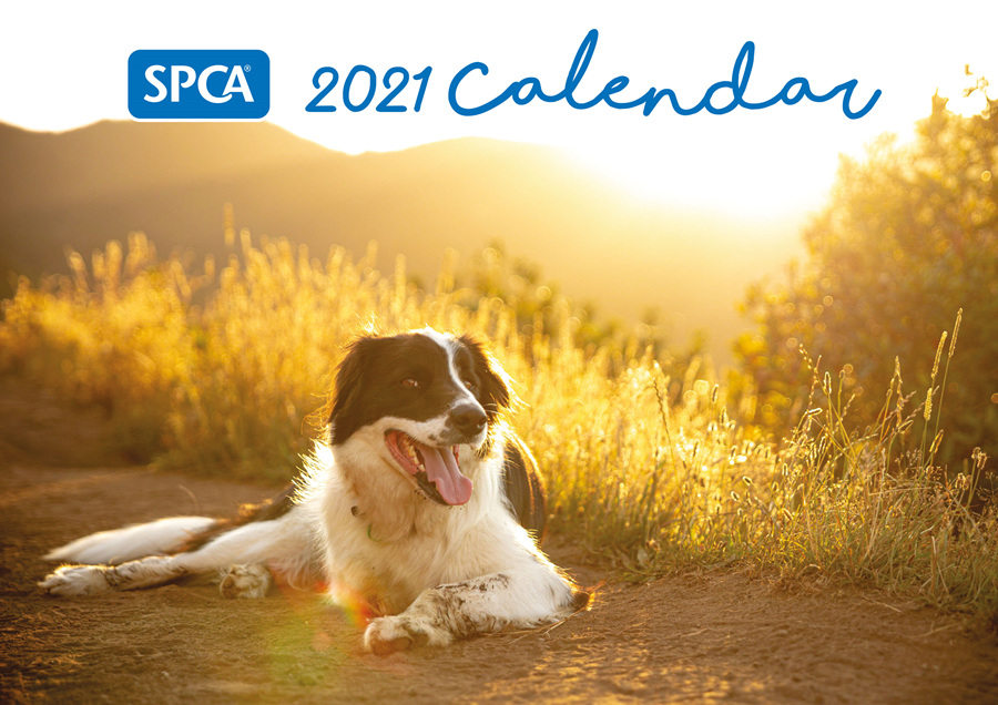 SPCA Calendars SPCA New Zealand Online Shop