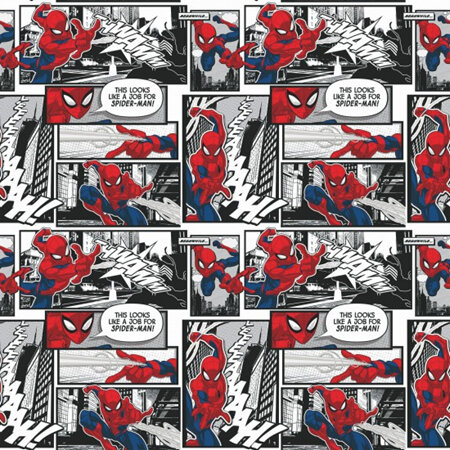 Spiderman Comic Panels CP71184