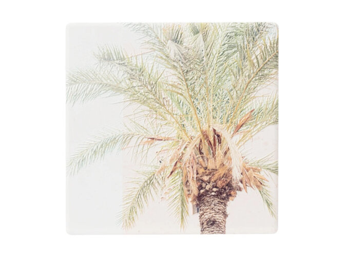 splosh modern oasis ceramic coaster tree home palm