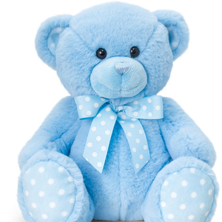 Spotty Blue Teddy